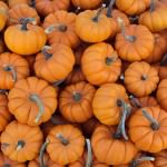 Passages Malibu, fall, recipes