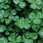 7 Tips for Staying Sober on St. Patrick's Day