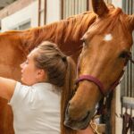 How Equine Therapy Can Help Build Trust in Addiction Recovery
