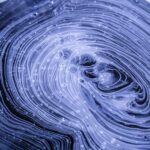 What Happens to the Brain During Drug and Alcohol Addiction