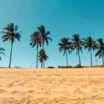 Exploring Holistic Recovery: The Diverse Therapies Offered at Passages Ventura